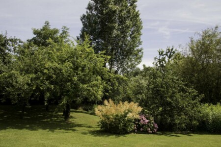 Jardin gites de la trie