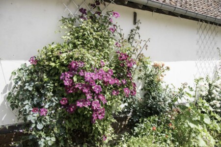 Jardin gites de la trie