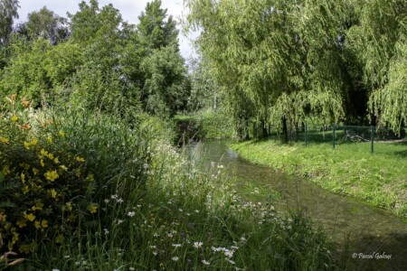 Jardin gites de la trie