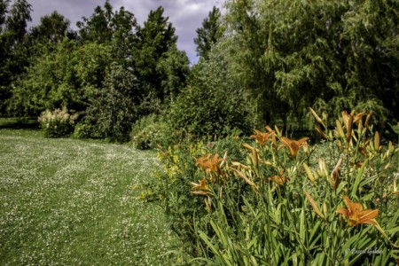 Jardin gites de la trie