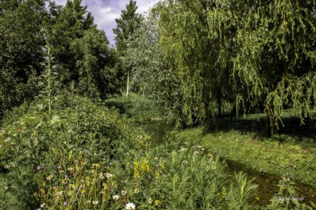 Jardin gites de la trie