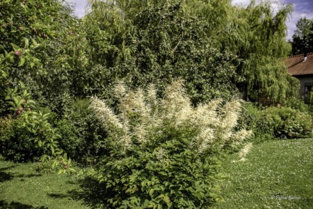 Jardin gites de la trie