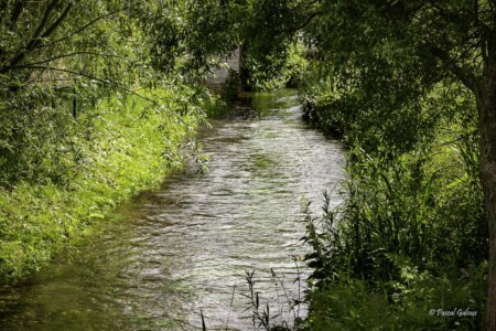Jardin gites de la trie